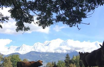 Chalet récent vue panoramique sur le MONT-BLANC - Photo 26