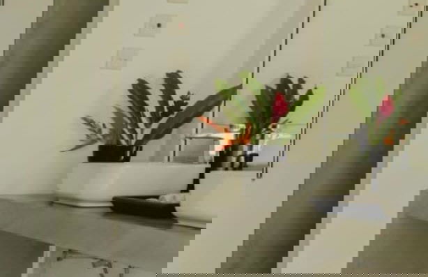 IF Villa in Unawatuna - Photo 9