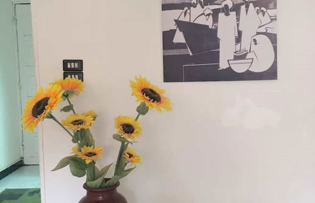 Heliopolis Apartment - Foto 20