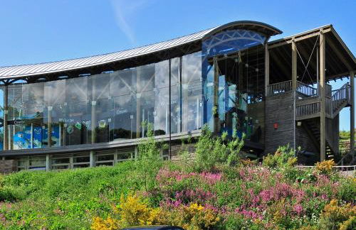 Croft Y Beudy - Photo 26