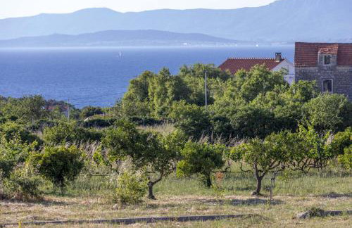 Villa Baras garden - house with pool - Photo 23