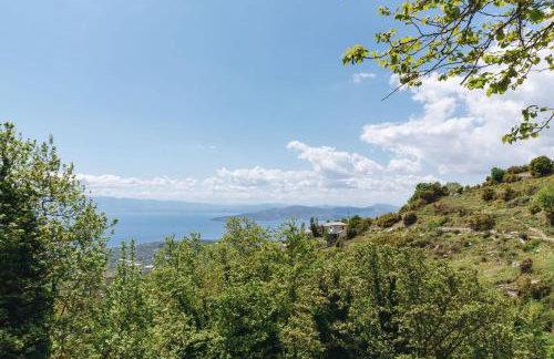 Pelion Homes - Foto 38