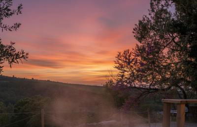 Saturnia Glamping - Seme di Carota - Photo 10