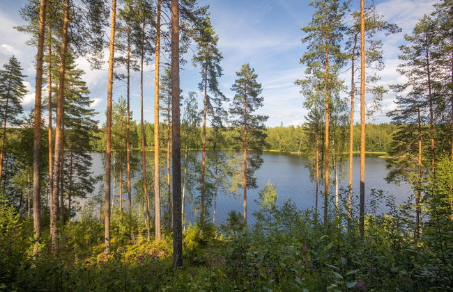 Villa Valmuska - Foto 9