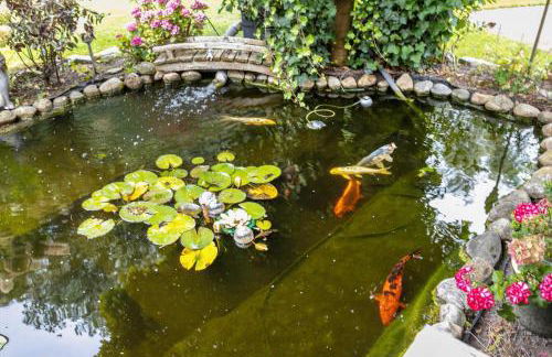 Ferienhaus Dohle - Foto 4