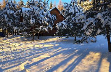 Pod Dębem Bis - Foto 31