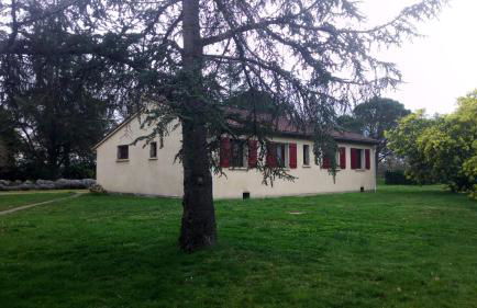 Les Mimosas - Foto 4