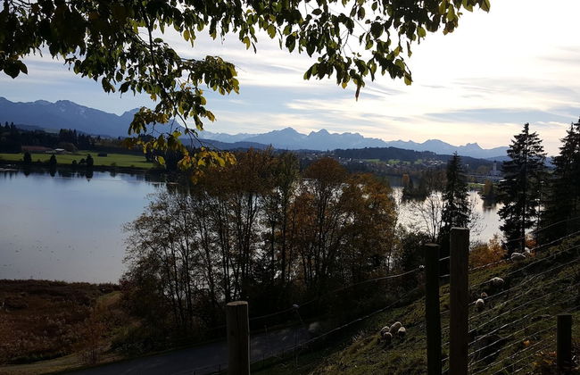 Ferienhaus Gerhard - Foto 13