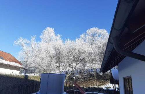 Mayntz' Albjuwel - Foto 2