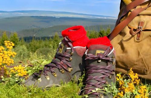 Moderne Ferienwohnung Am Flohbach 1 - Foto 25