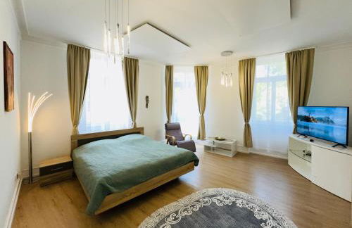 Quiet & Park View - Ulm Mitte - Foto 9