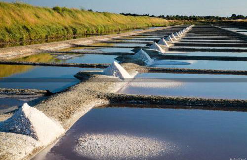 Cottage dans ancienne école de 1850 - 2 à 4 personnes - Foto 23