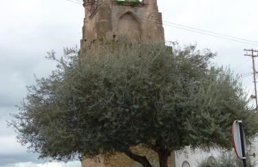 Ninho Da Poupa - Foto 39