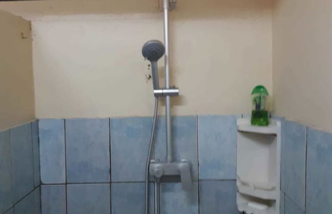 Max Garden and Pool - Photo 51