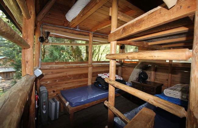 Out 'N' About Treehouse Treesort - Photo 34