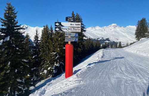 Les ARCS 1600 - SKI AUX PIEDS - MAGNIFIQUE DUPLEX 12 PERSONNES - Foto 42