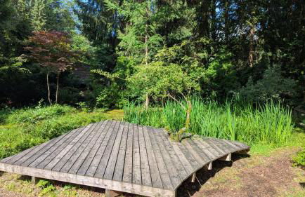 kuscheliges Waldhaus Kaminknistern - Photo 18