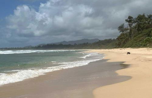 Kauai Beach Villas E16 - Foto 51