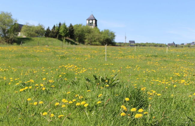 Holiday Home Zinnwald Large - Foto 17