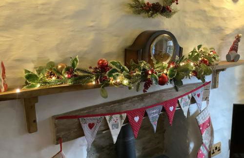 Penrallt-Fach Traditional Welsh cottage Pembrokeshire - Foto 51