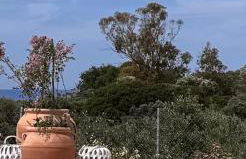 Meraki Mou My pride and care - Foto 27