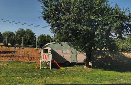 Platan Paradise - Foto 27