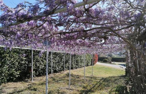 Agriturismo Susanna e Atria - Foto 49