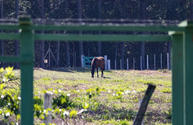 Vale das Águas Fazenda Resort - Photo 76