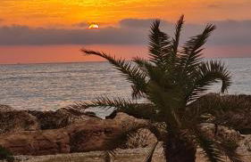 Podere Miray - Foto 25