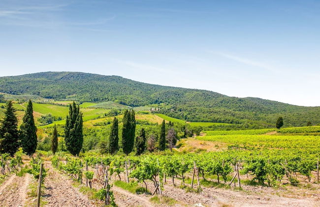 Splendid Holiday Home in Orciatico with Hot Tub & Pool - Foto 31