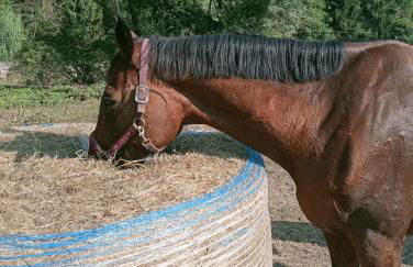 Anticopodere - Foto 6