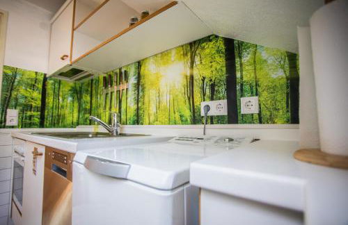 Auszeit im Schwarzwald - Foto 47