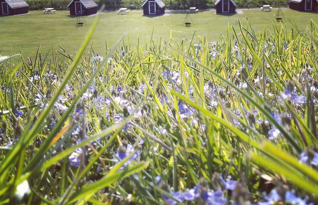 Macbeth's Hillock - Foto 28