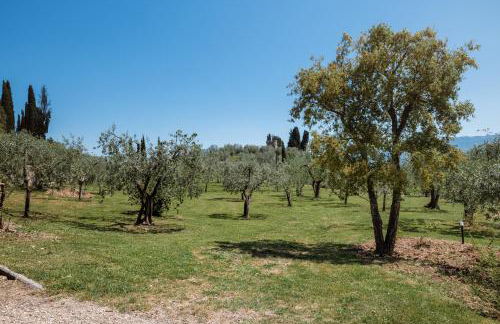 Casamaggio - Foto 29