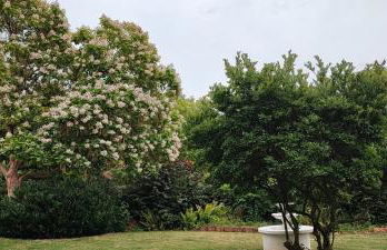 Ferienwohnung Westerwaldblick großzügige Wohlfühloase mit Terrasse - Foto 20