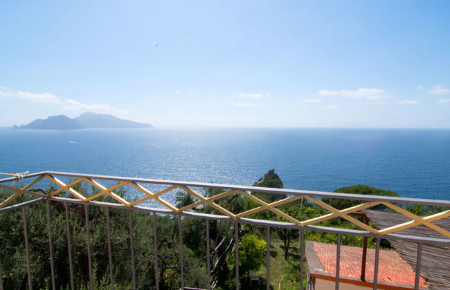 Giardino Caprese - Foto 22