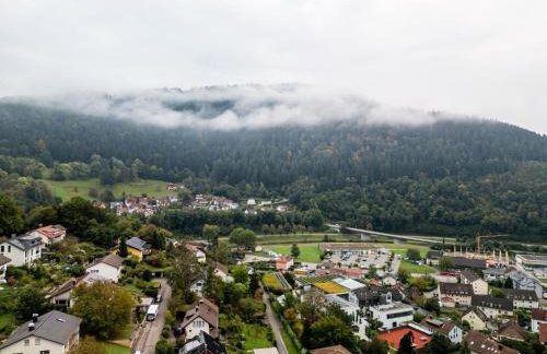 Ferienwohnung Kinzigtalblick - Photo 21