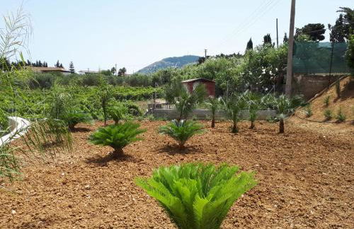 Villa Verde - Foto 27