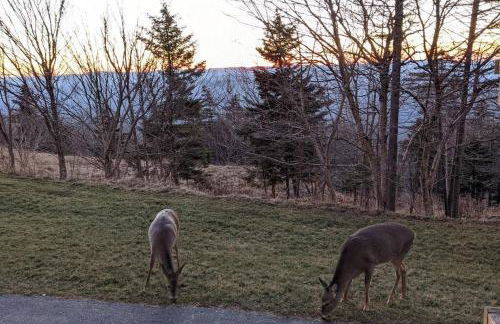 Cozy Condo at Summit - Foto 34