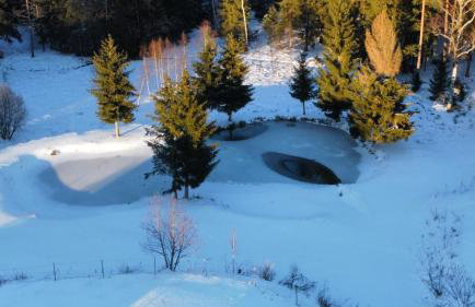 Ferienwohnung Morgensonne - Foto 17