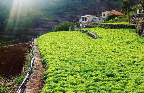 Casa Ti'Rosa - Foto 35