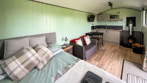 Cwtch Winnie - Uk49708 - Foto 3