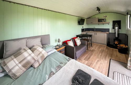 Cwtch Winnie - Uk49708 - Photo 3