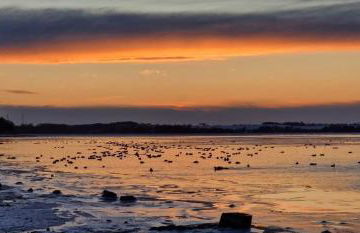 Zur Schwedenschanze 1 - Foto 15