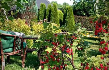 Domek Regionalny- bliźniak - Foto 35