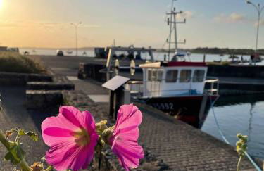 KerDesAmis - Tolles Ferienhaus in Strandnähe mit Sonnenterrasse, Boulebahn und großem Garten - Foto 14