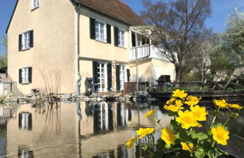 Pure Nature Munich - Amper Meadows/Freising - Foto 11