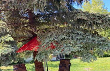 Schlafen in Erfurt- nicht 0815 - Foto 31