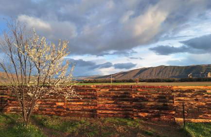 La Cigalière - Foto 29