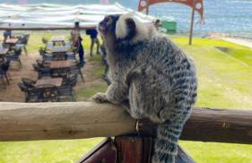 Viver de Temporada Canindé- 10 Minutos de Piranhas- 3 Minutos do Centro - Foto 50